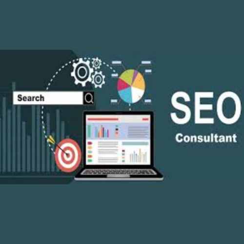 Professional SEO expert optimizing website for higher search rankings